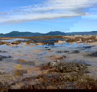 Walk to the Reef - Accommodation Bookings