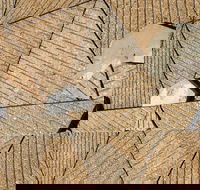 WA Now  Tom Mller Monolith Scores - Virtual Exhibition - Accommodation Bookings