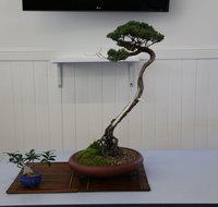 Wauchope Bonsai Workshop Group - Accommodation Bookings