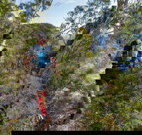 Wild Earth Coastal High 50 - Accommodation Bookings