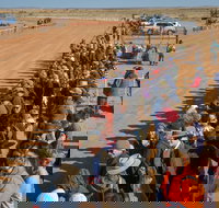 28th Marree Australasian CAMEL CUP 3 July 2021 - Accommodation Bookings