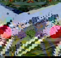 Acrylic Earring Workshop Native Florals - Accommodation Bookings