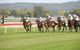 Aggies Race Day - thumb 0