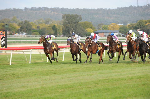 Aggies Race Day - Accommodation Bookings 0