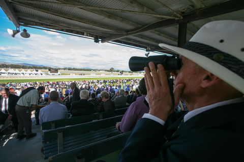 Albury Racing Club Boxing Day Races - Accommodation Bookings 1