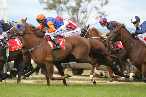Albury Racing Club January Race Day - Accommodation Bookings 1