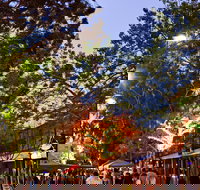 Alice Springs Town Council Night Markets - Accommodation Bookings