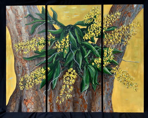 A Still Life - Solo Exhibition  Karen Sedaitis - Accommodation Bookings 1
