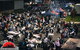 Aussie Night Markets Menangle - thumb 0