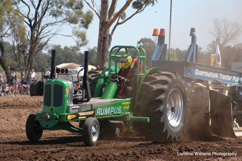 Barmedman Twilight Modified Tractor Pull - Accommodation Bookings 0