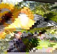 Blackville Arts and Market Day - Accommodation Bookings