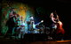 Bony Mountain Folk Festival - thumb 0