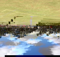 Charlton Lawn Tennis Club Annual Tournament - Accommodation Bookings