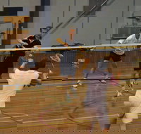 Charlton Badminton Club Ladies Tournament - Accommodation Bookings