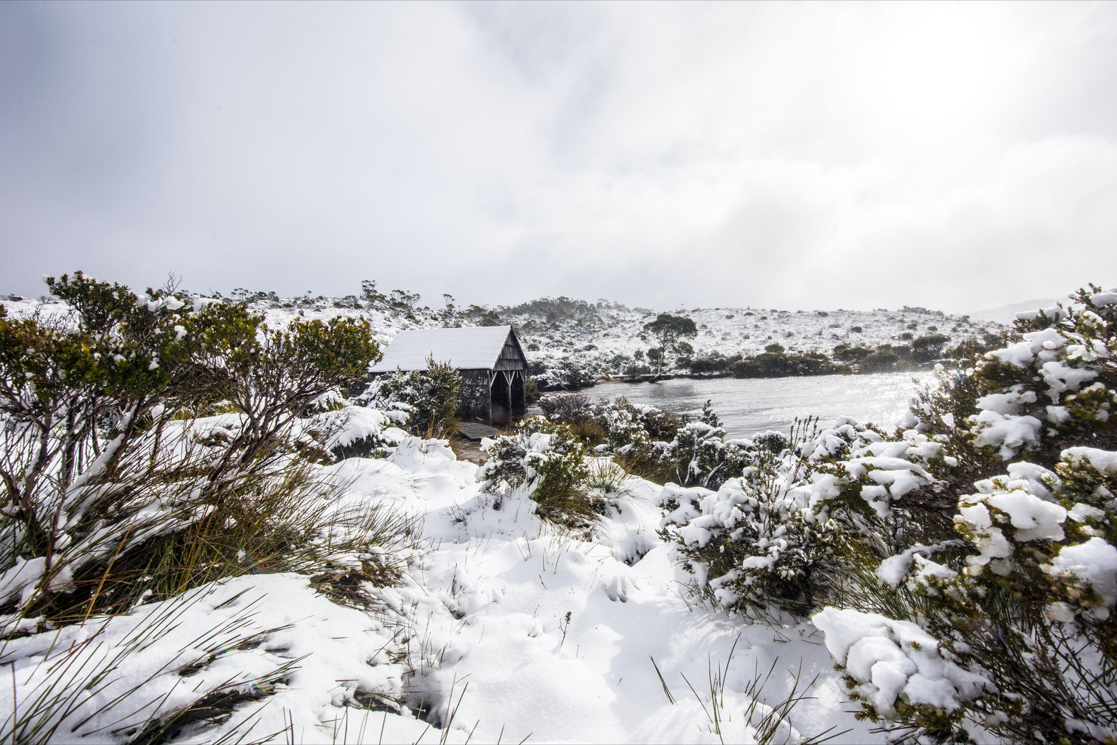 Cradle Mountain TAS Accommodation Bookings