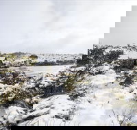Christmas in July at Cradle Mountain Hotel 2020 - Accommodation Bookings