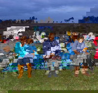 Cinema Under The Stars - Accommodation Bookings