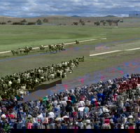 Cooma Sundowners Cup - Accommodation Bookings