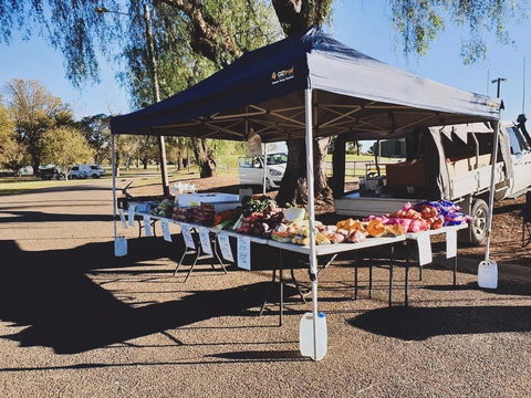 Cootamundra Girl Guides Markets - Accommodation Bookings 0