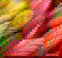 Creative Fibre - Accommodation Bookings