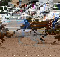 Dalgety Team Penning - Accommodation Bookings