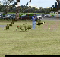 Dean Sheepdog Trials - Old Sniff Classic - Accommodation Bookings