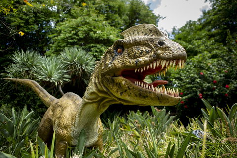 Dino Lab At Melbourne Zoo - Accommodation Bookings 0