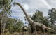 Dino Lab At Melbourne Zoo - thumb 1
