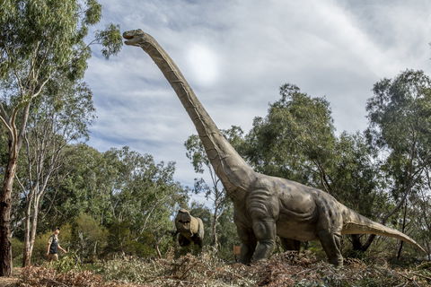 Dino Lab At Melbourne Zoo - Accommodation Bookings 1