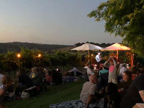 Fireside Pig And Pinot At Contentious Character - Accommodation Bookings 2