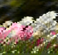 Floriade Reimagined - Accommodation Bookings