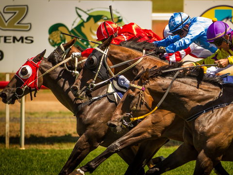 Foodies Race Day And Night Markets - Accommodation Bookings 1