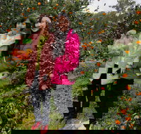 Fruit Taste Adventure Tours - Accommodation Bookings