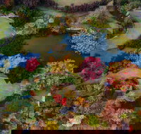 Glenrock Gardens Open Garden - Accommodation Bookings