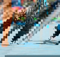 Gold Coast Triathlon Training - Accommodation Bookings