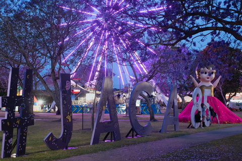 Grafton Jacaranda Festival - Accommodation Bookings 0