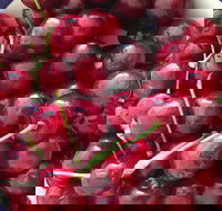 Griffith Rotary Market - Accommodation Bookings