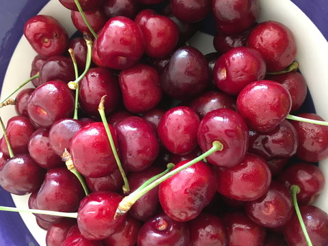 Griffith Rotary Market - Accommodation Bookings 0