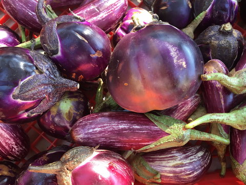 Griffith Rotary Market - Accommodation Bookings 1