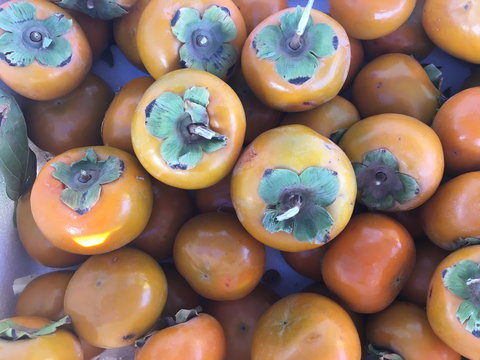 Griffith Rotary Market - Accommodation Bookings 2