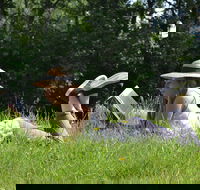 High Country Writers Festival - Accommodation Bookings