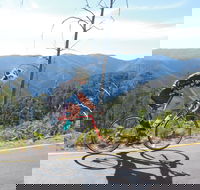 High Country Women's Cycling Festival - Accommodation Bookings