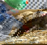 Horsham Agricultural Show - Accommodation Bookings
