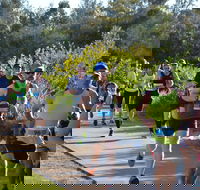 Husky Half Running Festival - Accommodation Bookings