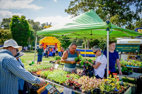 Huskisson Market - Accommodation Bookings 0
