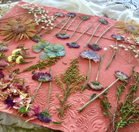 Introduction to Paper Making - Accommodation Bookings