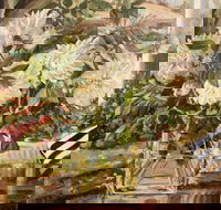 Introduction to Oils with Kim Grivas - Accommodation Bookings