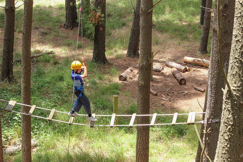 July 2020 Holidays- Go Wild At The Mt Lofty Adventure Hub - Accommodation Bookings 0