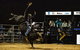 Julia Creek Dirt N Dust Festival - thumb 2