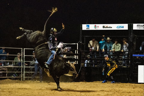 Julia Creek Dirt N Dust Festival - Accommodation Bookings 2